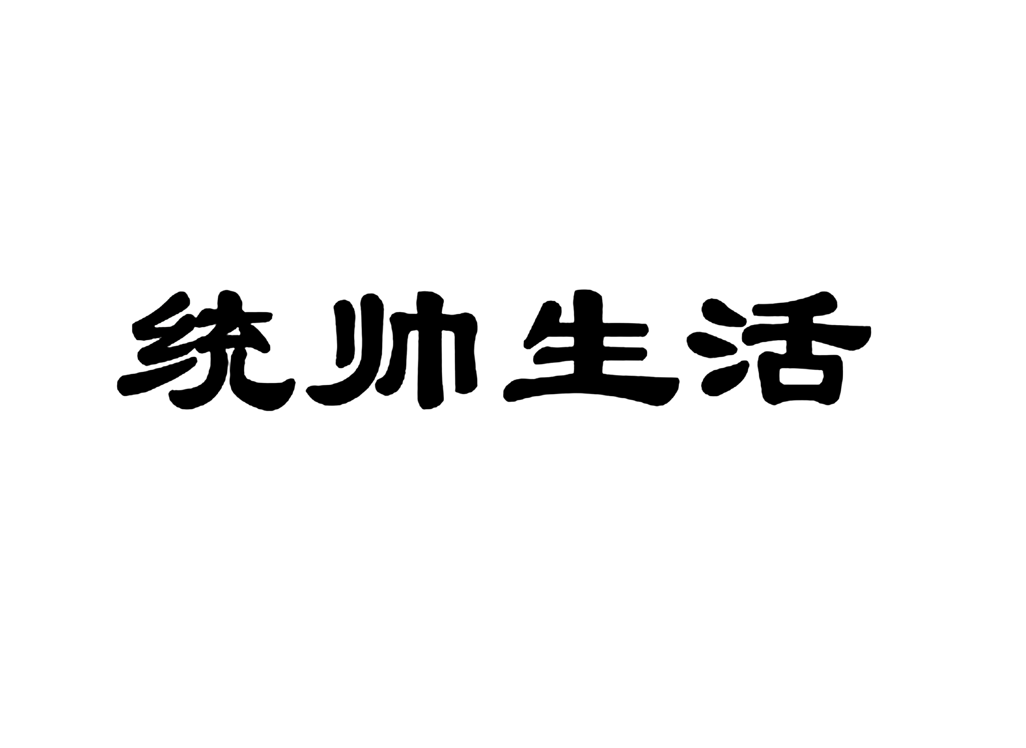 统帅生活